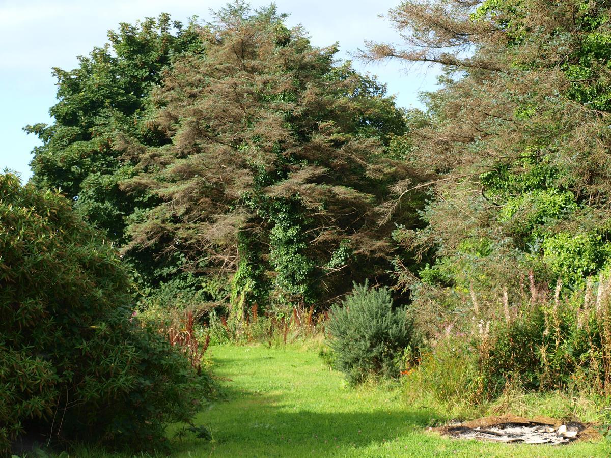 The River House Dungloe Esterno foto